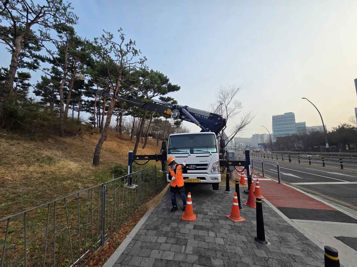 수목 옆 도로의 장비 배치